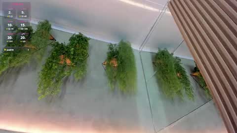 lana_lann online show from 24, 9, 2025