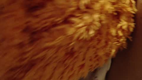 Snapshot of laralhotr chatting on 26, 12, 2024 laralhotr online show from 26, 12, 2024