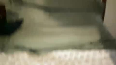 HUNG YUNG STR8 online show from 27, 2, 2026