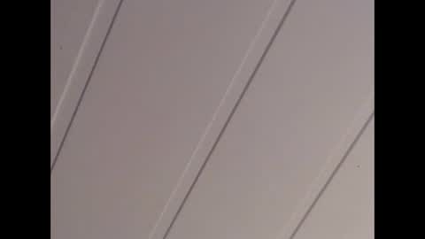 Snapshot of latex2003 chatting on 25, 12, 2024 Latex2003 online show from 25, 12, 2024