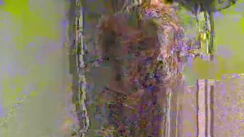 lathams1 online show from 19, 4, 2026