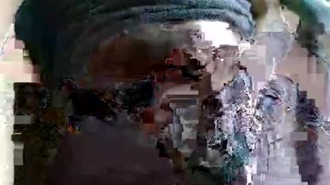 joseph online show from 16, 3, 2026