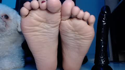 Snapshot of latinfeetqos chatting on 29, 1, 2025 Martina April online show from 29, 1, 2025