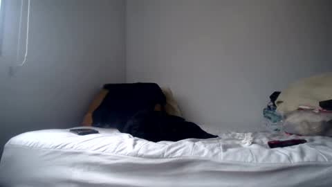 Snapshot of latinndexter chatting on 24, 2, 2025 DEXTER online show from 24, 2, 2025