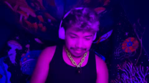 Pup online show from 27, 12, 2024