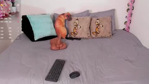 Snapshot of laura1__ chatting on 15, 12, 2025 laura1__ online show from 15, 12, 2025