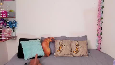 laura1__ online show from 26, 2, 2026