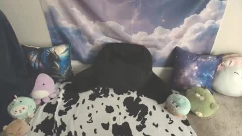 LauraChan online show from 9, 3, 2026