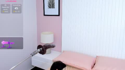 lauren_stone_ online show from 4, 7, 2026