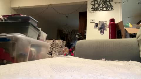 lawrencegreg106 online show from 25, 9, 2025