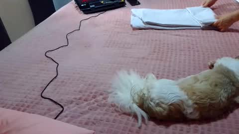 kelly online show from 1, 2, 2025