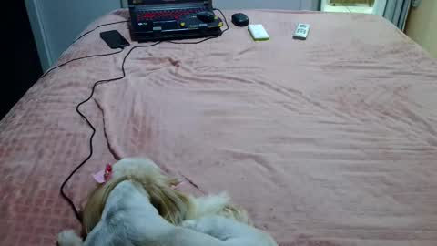 kelly online show from 4, 2, 2025