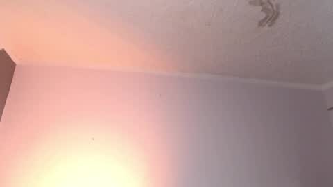 Snapshot of leabigboobs chatting on 3, 2, 2025 leabigboobs online show from 3, 2, 2025