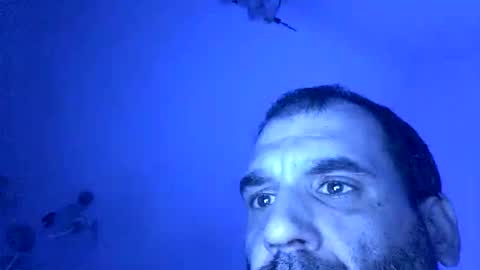 lechebizvm online show from 4, 11, 2025