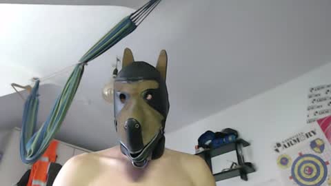 Leather Dog online show from 8, 7, 2026