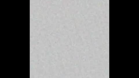 leejhonsonnn online show from 13, 11, 2025