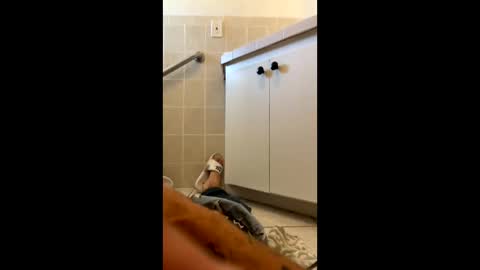 legal4 online show from 9, 3, 2026