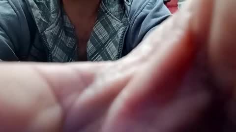 Snapshot of lelefiel chatting on 28, 12, 2024 Pequeno Urso online show from 28, 12, 2024