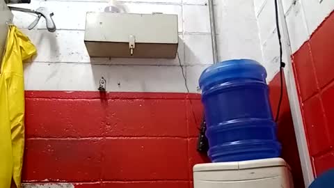 Snapshot of lelefiel chatting on 17, 1, 2025 Pequeno Urso online show from 17, 1, 2025