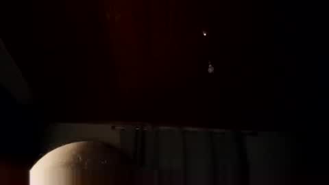 lelshop online show from 25, 2, 2026