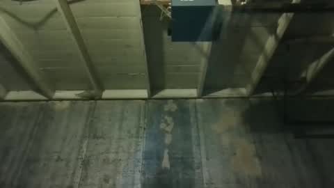 leo199984 online show from 25, 3, 2026