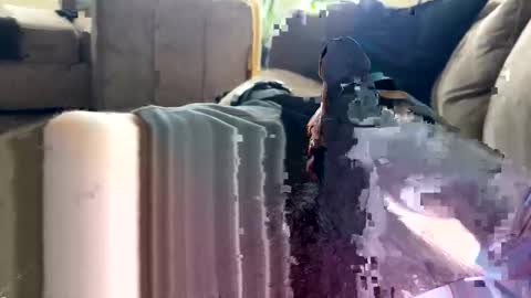 Snapshot of letgetnaughty12345 chatting on 24, 3, 2026 letgetnaughty12345 online show from 24, 3, 2026