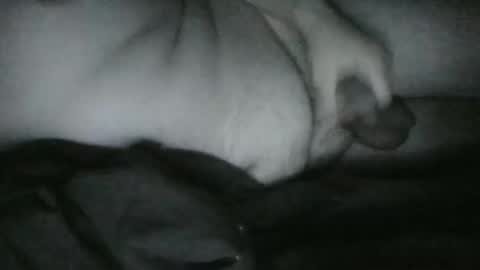 Snapshot of lethandor chatting on 25, 12, 2024 Rayne online show from 25, 12, 2024