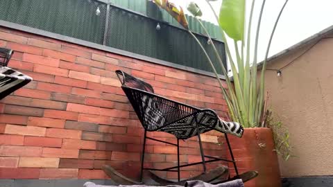 follow me  here you find me online show from 21, 3, 2026