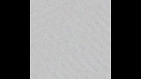 lewdy booty online show from 5, 3, 2026