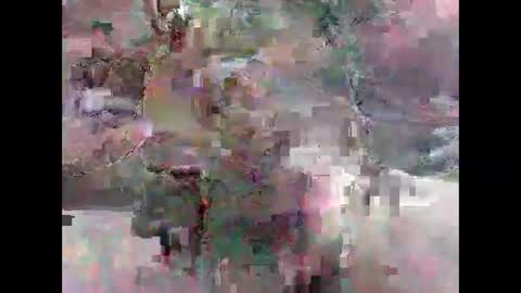 leweylewy online show from 13, 11, 2025