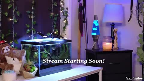 Snapshot of lex_taylor chatting on 8, 1, 2025 Lex online show from 8, 1, 2025