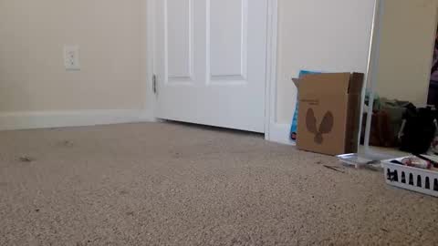 Alexia L. online show from 19, 11, 2025