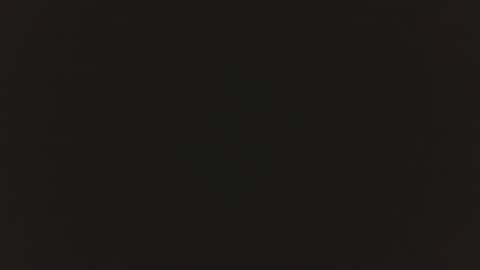 catalina online show from 27, 2, 2025