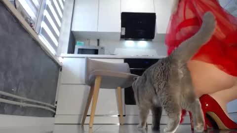 Snapshot of lickmyass555 chatting on 23, 1, 2025 Lickmyass555 online show from 23, 1, 2025