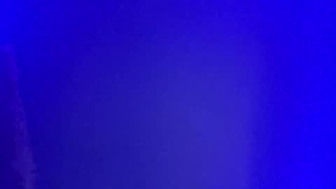 LickYourYoni online show from 1, 1, 2025