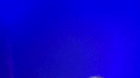 LickYourYoni online show from 13, 1, 2025