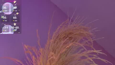 Liiam Luna online show from 14, 1, 2026