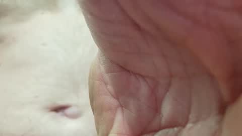 Snapshot of like_fun_ chatting on 8, 4, 2026 like_fun_ online show from 8, 4, 2026