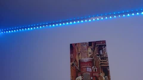 Lisaa online show from 7, 12, 2024