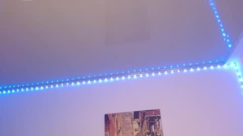 Lisaa online show from 11, 2, 2025