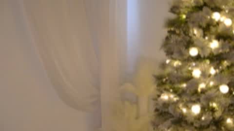 Rebecca online show from 17, 12, 2025