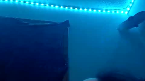 lildman420 online show from 12, 11, 2025