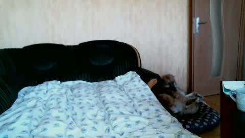 Lenkaa777 online show from 1, 4, 2026