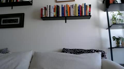 Jay  please help me reach 50 thumbs up online show from 21, 2, 2026