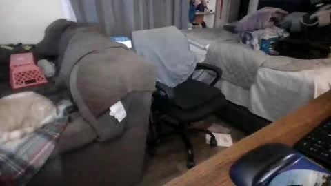 lilpackage69 online show from 29, 1, 2025