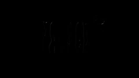 lilpresident online show from 23, 1, 2025