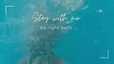 Lily online show from 23, 9, 2025