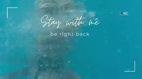 Lily online show from 25, 9, 2025