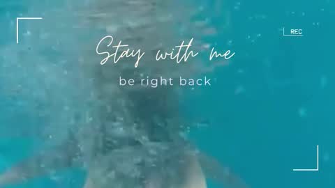 Lily online show from 2, 11, 2025