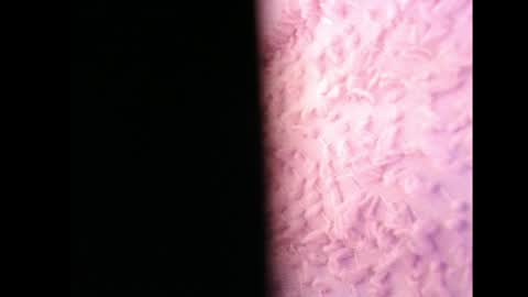 Snapshot of lilycelest chatting on 13, 5, 2026 lilycelest online show from 13, 5, 2026